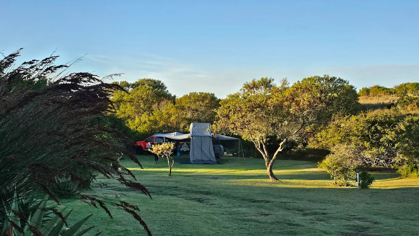 Camp trees at Arbeidsloon campsite