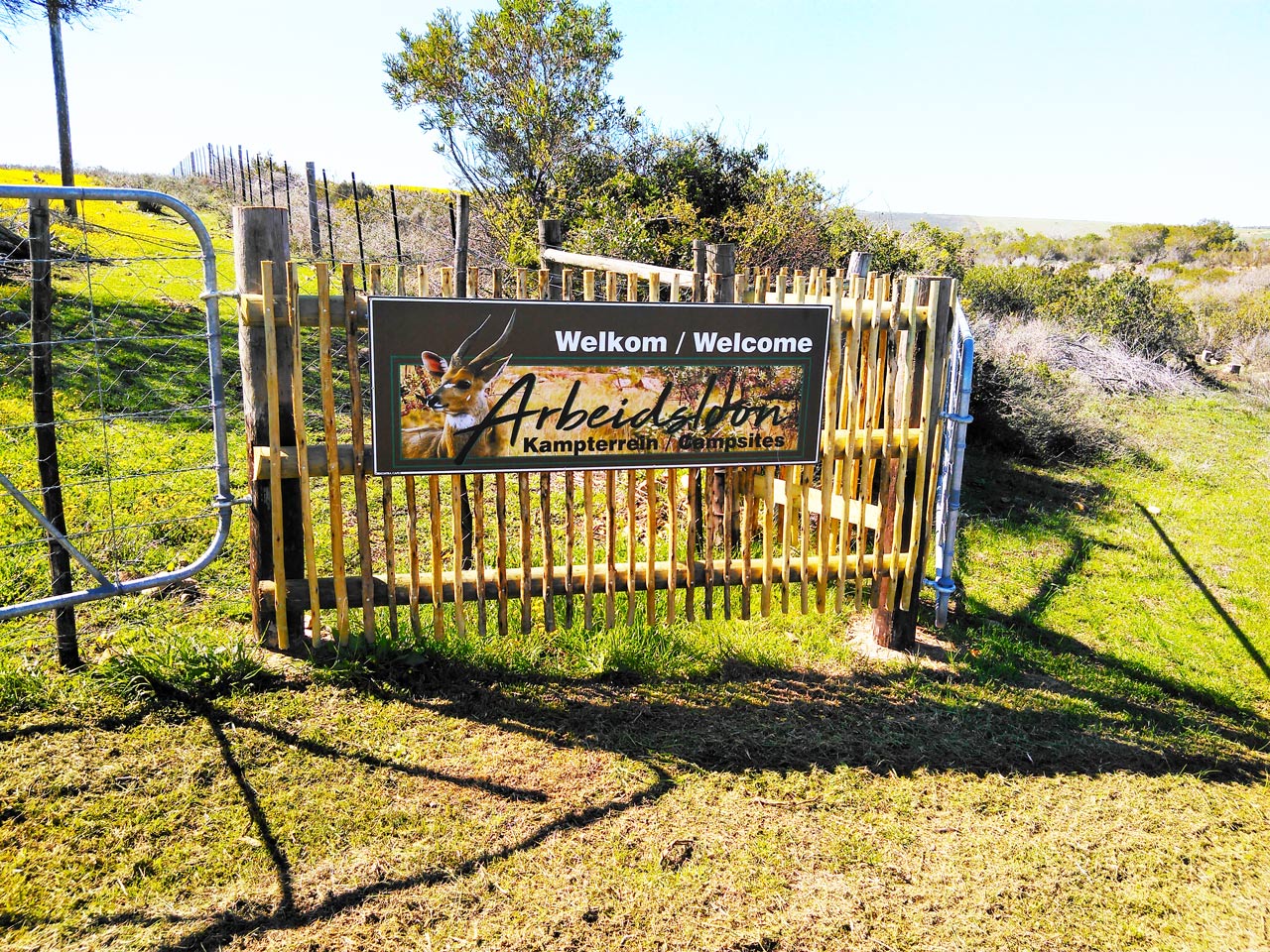 Arbeidsloon campsite gallery view 7