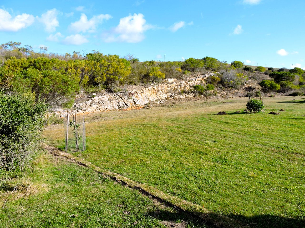 Gallery image 02