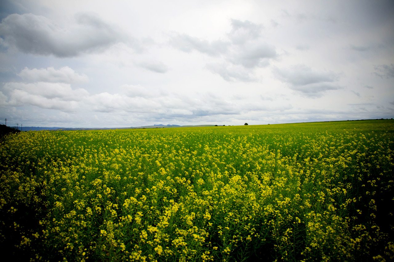 Gallery image 21
