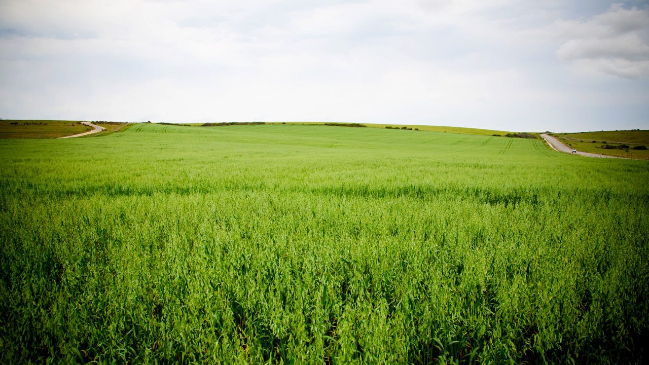 Gallery image 27